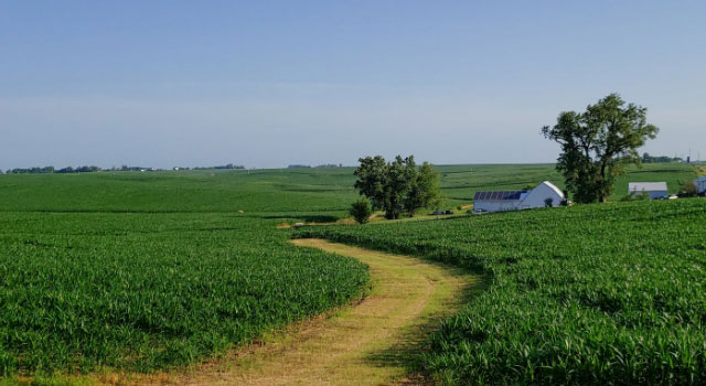 農(nóng)業(yè)行業(yè)